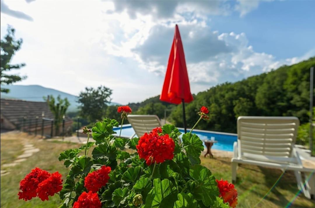 Villa Honey House à Grabovac  Extérieur photo