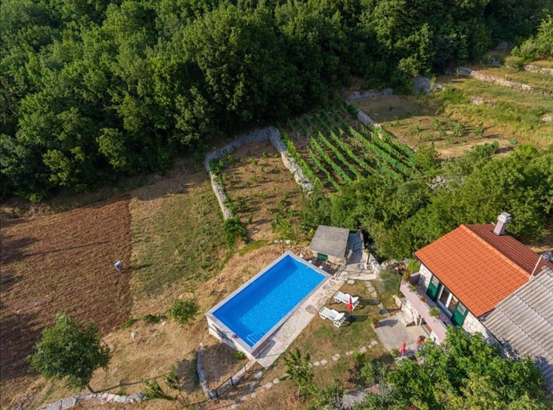 Villa Honey House à Grabovac  Extérieur photo